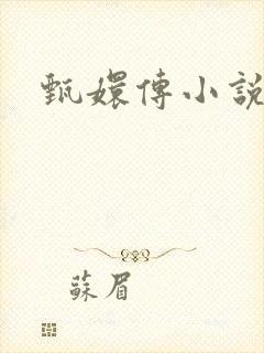 甄嬛传小说