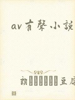 av有声小说