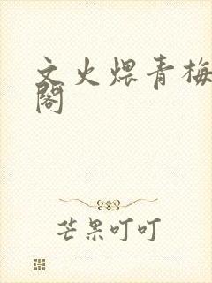 文火煨青梅笔趣阁封面