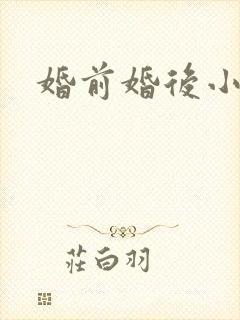 婚前婚后小说封面