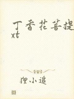 丁香花菩提树txt