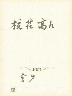 校花高h