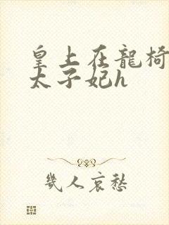 皇上在龙椅上c太子妃h封面