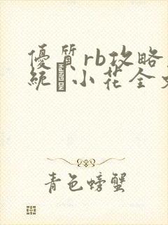 优质rb攻略系统寀小花全文免费阅读