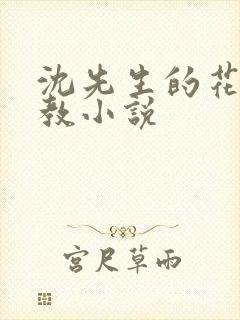 沈先生的花式调教小说