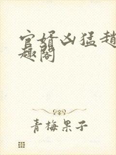 官婿凶猛赵阳笔趣阁封面