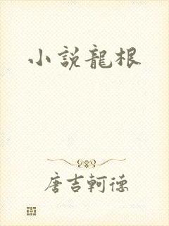 小说龙根