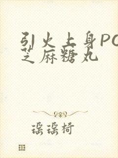 引火上身POP芝麻糖丸