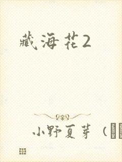 藏海花2
