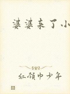 婆婆来了小说