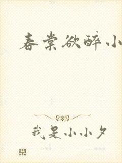 春棠欲醉小说封面