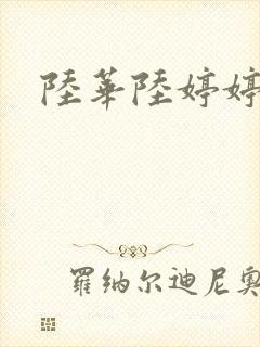 陆华陆婷婷