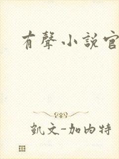 有声小说官途