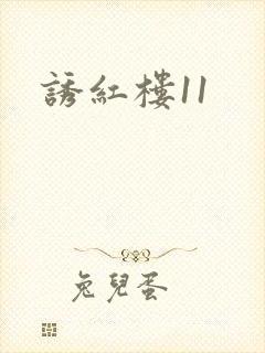 诱红楼11