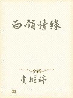 白领情缘封面