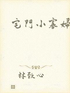 宅门小寡妇