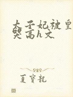 太子妃被皇上c哭高h文封面