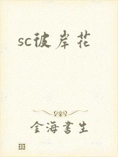 sc彼岸花封面