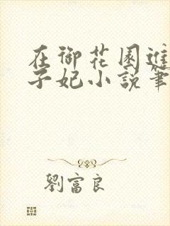 在御花园进入太子妃小说笔趣阁封面