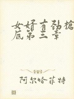 女婿有劲枪枪到底第三章
