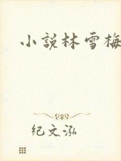 小说林雪梅封面