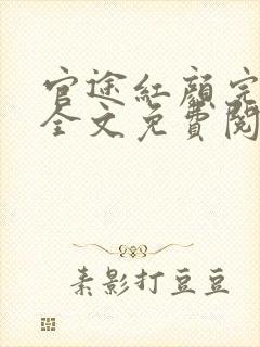 官途红颜完整版全文免费阅读