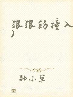 狠狠的撞入(h)