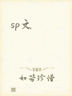 sp文封面