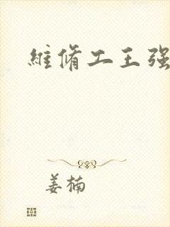 维修工王强张婷封面