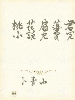 桃花扇落君不还小说免费完整版封面
