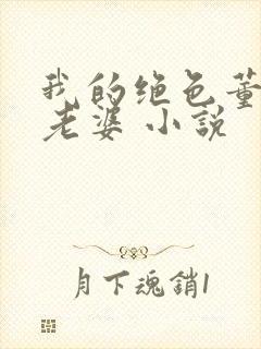 我的绝色董事长老婆 小说