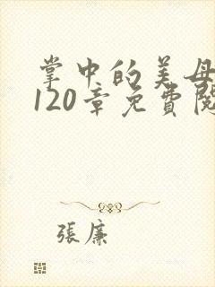 掌中的美母版主120章免费阅读