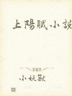 上阳赋小说