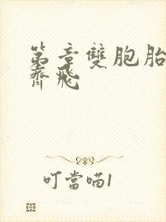 第章双胞胎姐妹齐飞