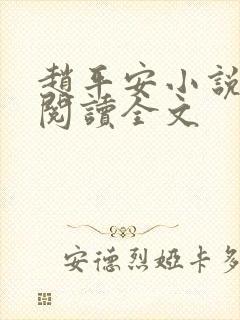 赵平安小说免费阅读全文