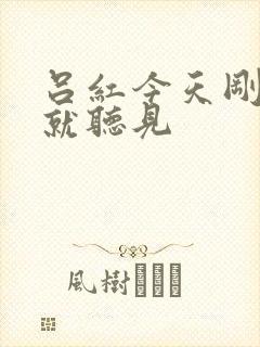 吕红今天刚进门就听见封面