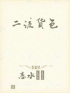 二流货色封面