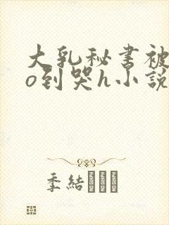 大乳秘书被cao到哭h小说