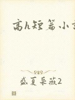 高h短篇小说