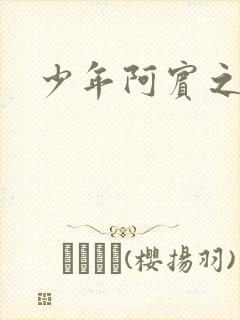 少年阿宾之学姐封面