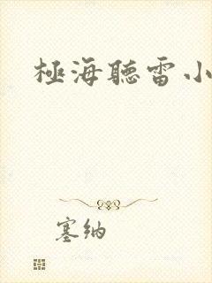 极海听雷小说封面