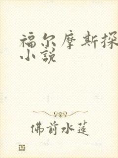 福尔摩斯探案集小说封面