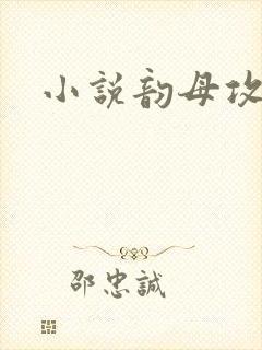 小说韵母攻略封面