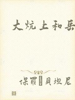 大炕上和岳偷倩封面