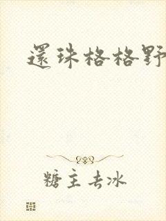 还珠格格野传