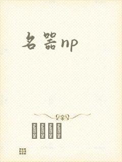 名器np