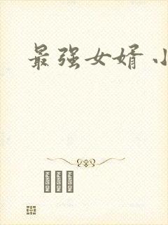 最强女婿 小说