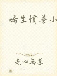 娇生惯养小说