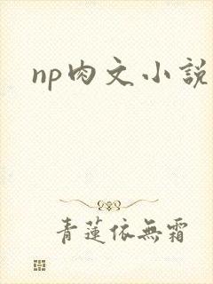 np肉文小说