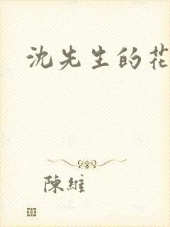 沈先生的花式